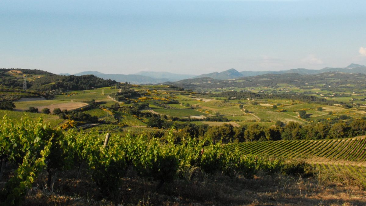 Cesta za vínem do Provence
