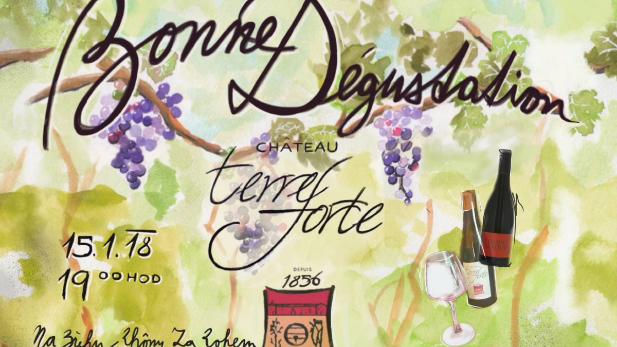 Bonne Dégustation: Château Terre Forte